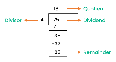 long division calculator with steps 